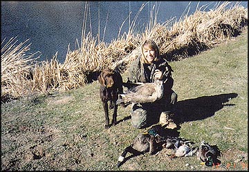 Tracy, Dog, Ducks and Geese